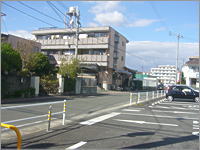 CgnC